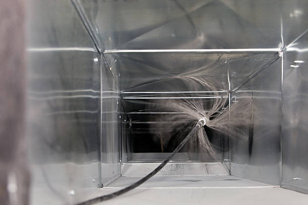 Air Duct Mold Removal in East Grand Rapids, MI