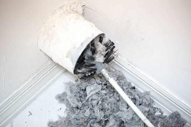 Best Local Air Duct Cleaning Services  in East Grand Rapids, MI